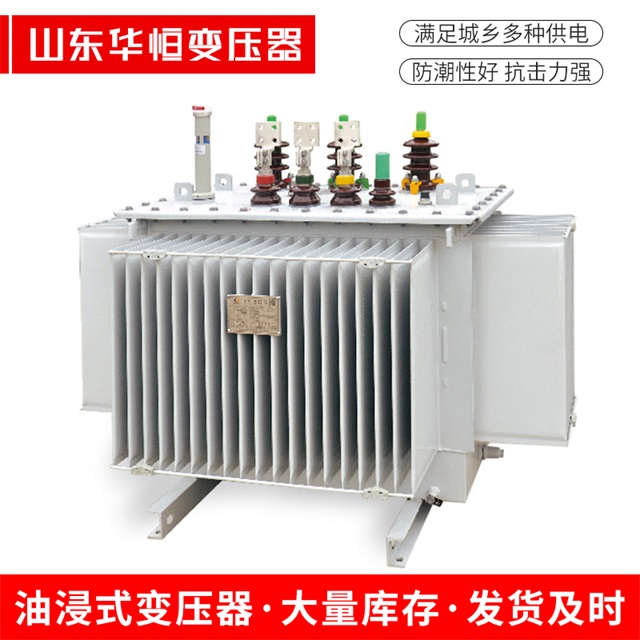 S13-10000/35广德广德广德电力变压器